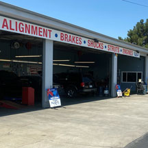 Steven Luzzi - Owner